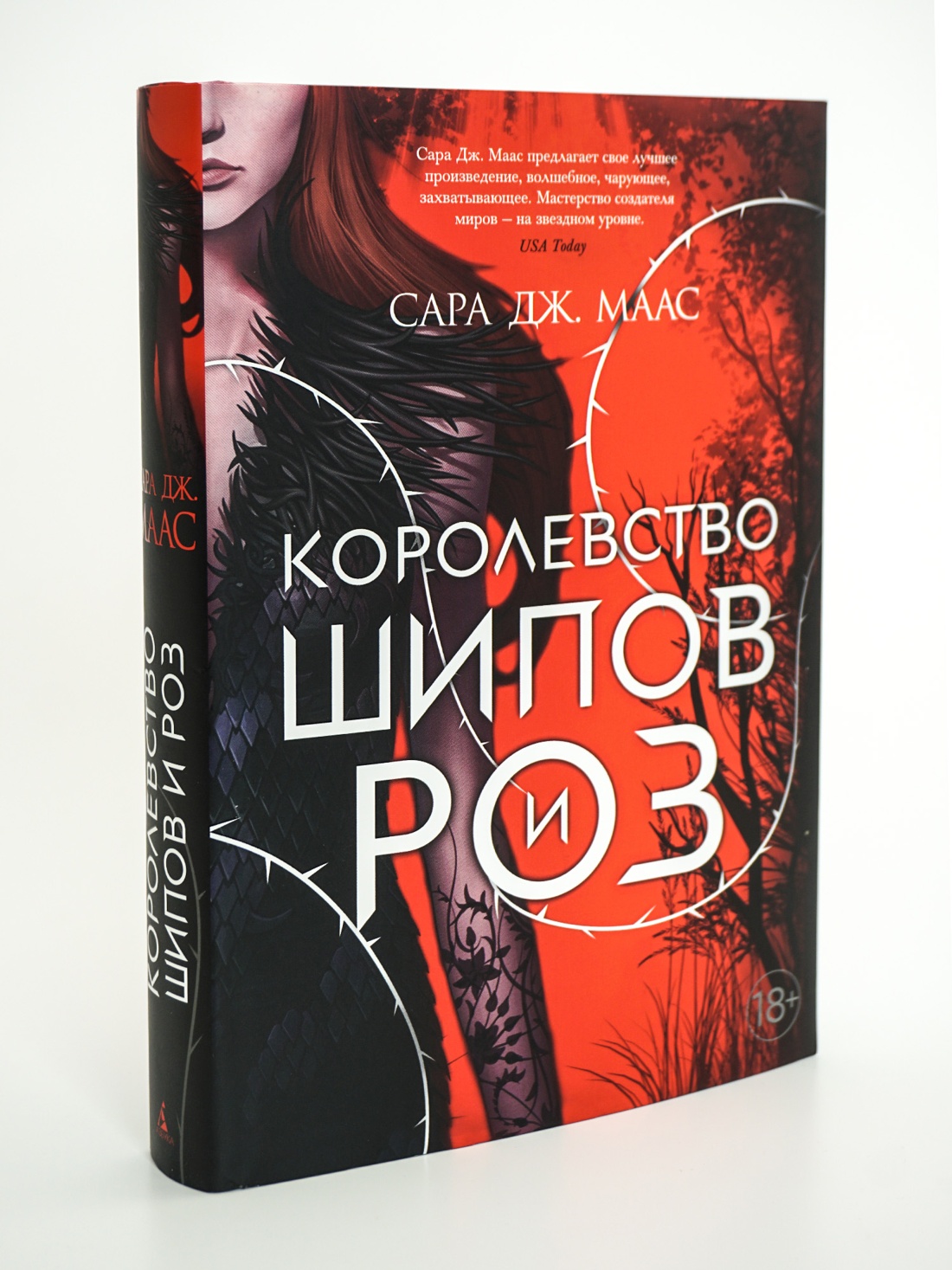 Промо материал к книге "Королевство шипов и роз" №0
