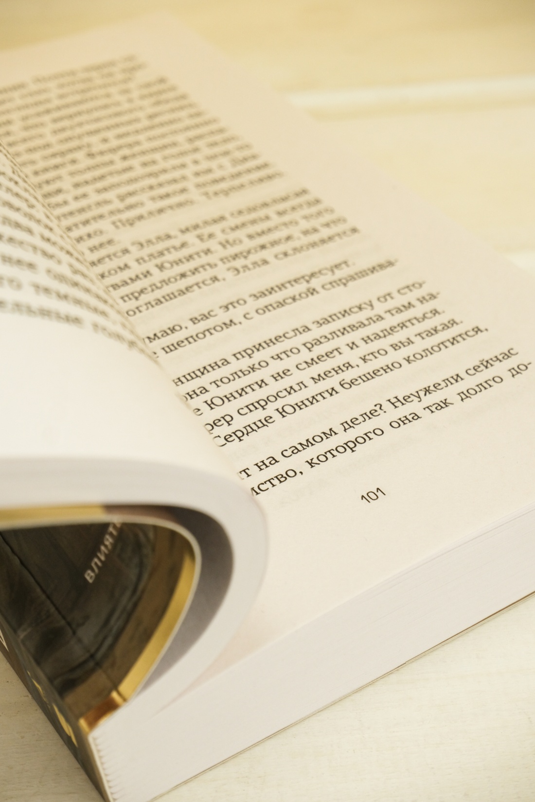 Промо материал к книге "Верность сестер Митфорд" №7