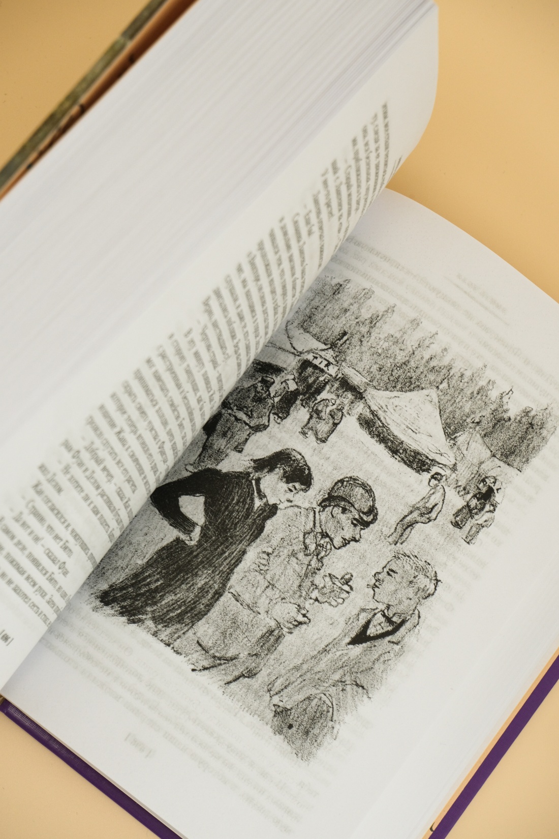 Промо материал к книге "Нана. Земля" №9