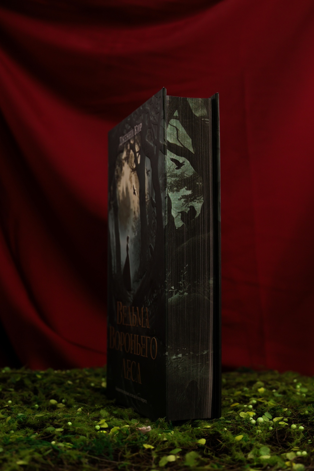 Промо материал к книге "Ведьма Вороньего леса" №7