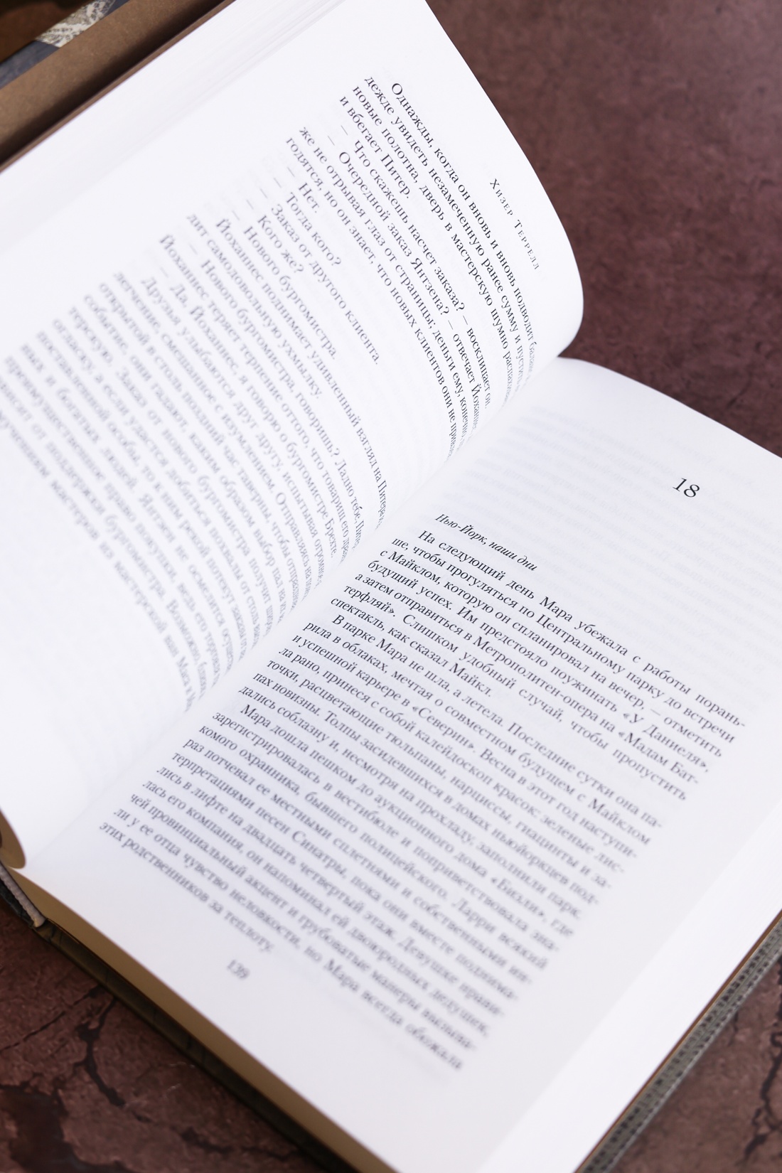 Промо материал к книге "Тайна Девы Марии.Тайна похищенной карты" №10