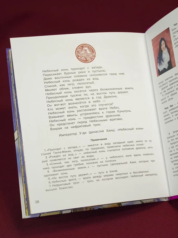 Промо материал к книге "Кот Апельсин в Запретном городе. Книга 5. Крылатый воин" №12