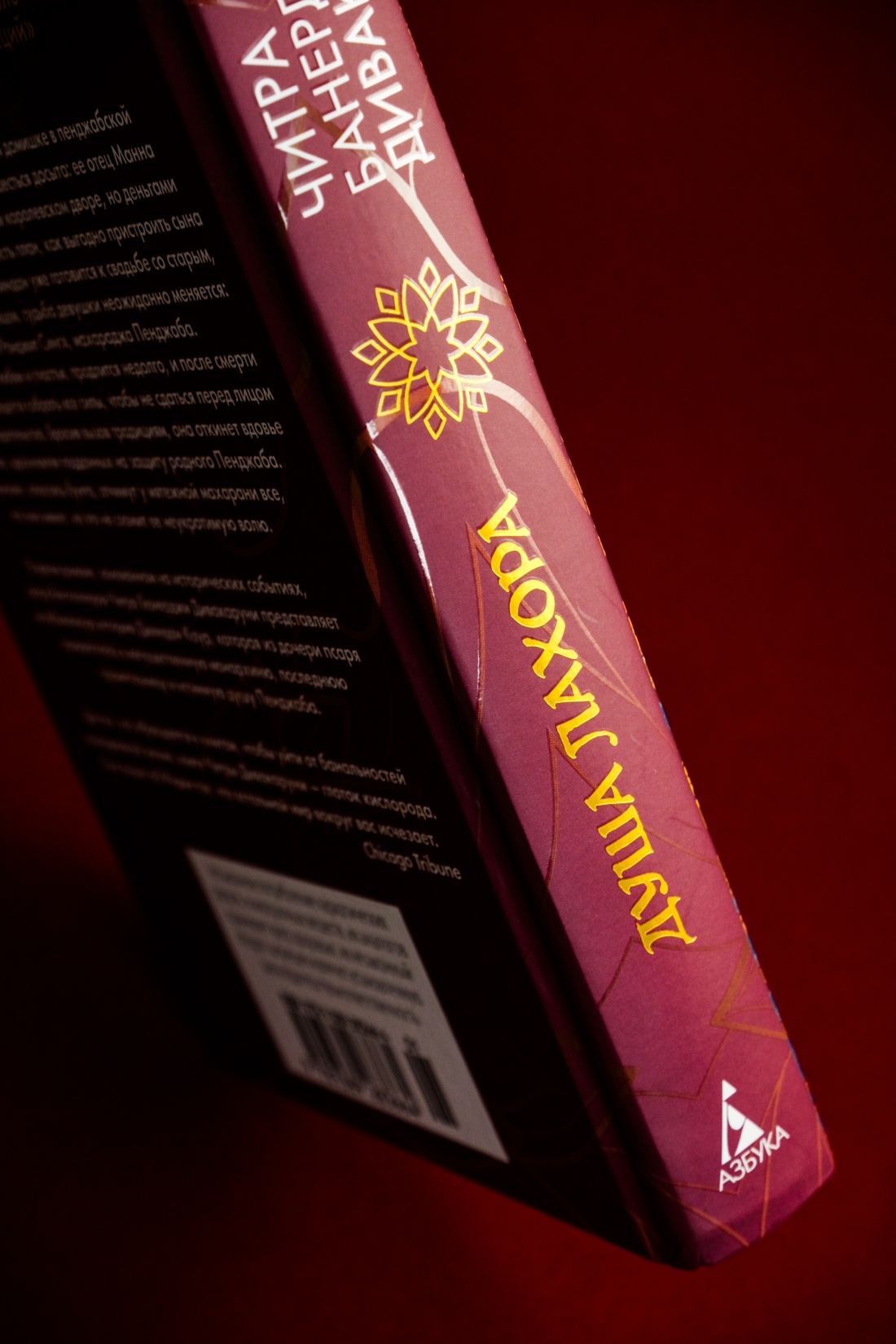 Промо материал к книге "Душа Лахора" №6