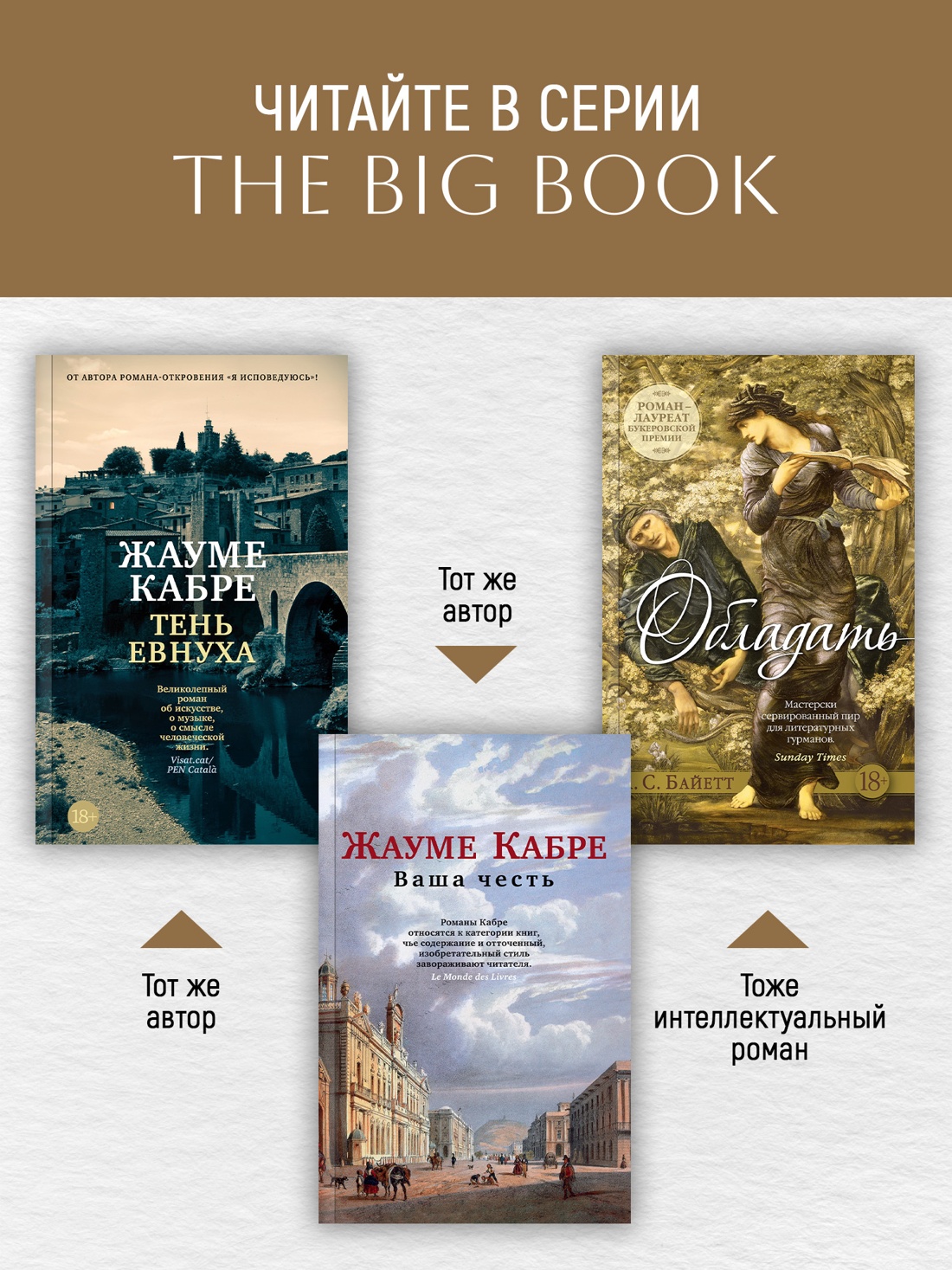 Промо материал к книге "Я исповедуюсь (The Big Book (мягкая обл))" №2