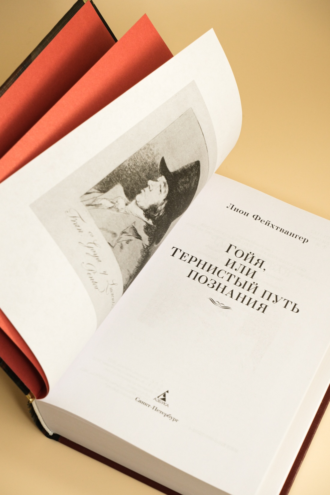 Промо материал к книге "Гойя, или Тернистый путь познания" №5