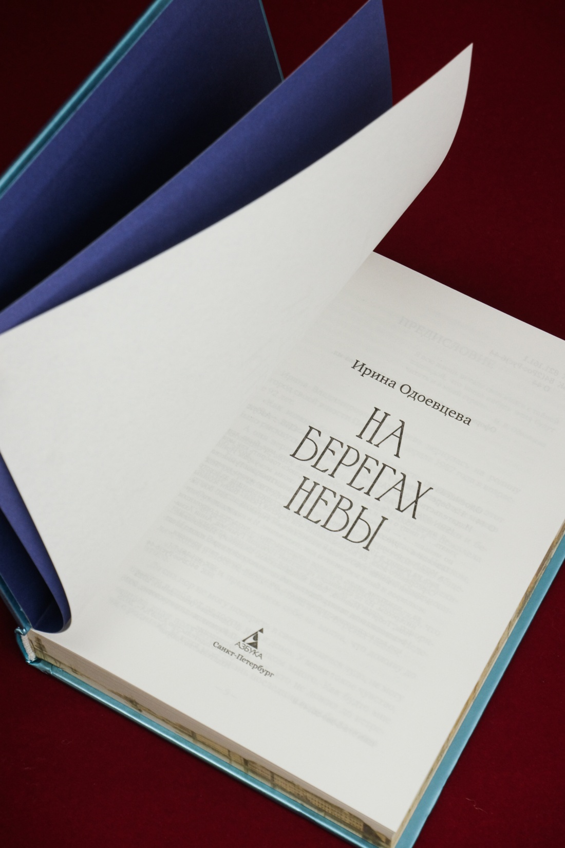 Промо материал к книге "На берегах Невы" №8