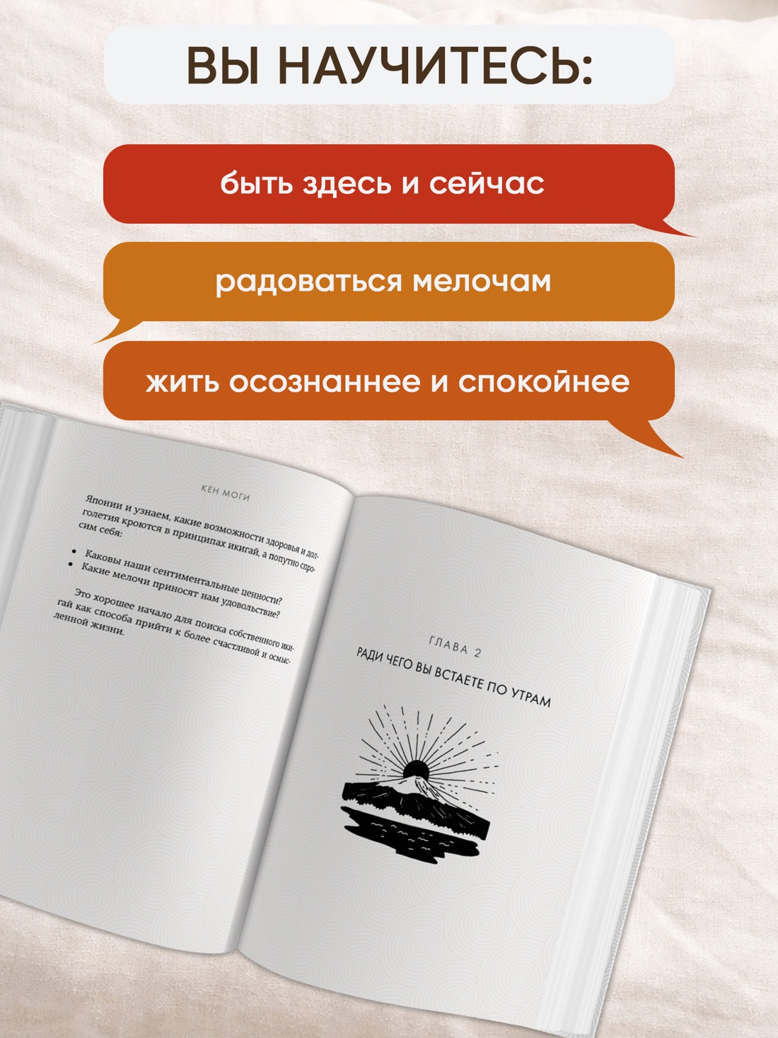 Промо материал к книге "Икигай. Смысл жизни по-японски" №1