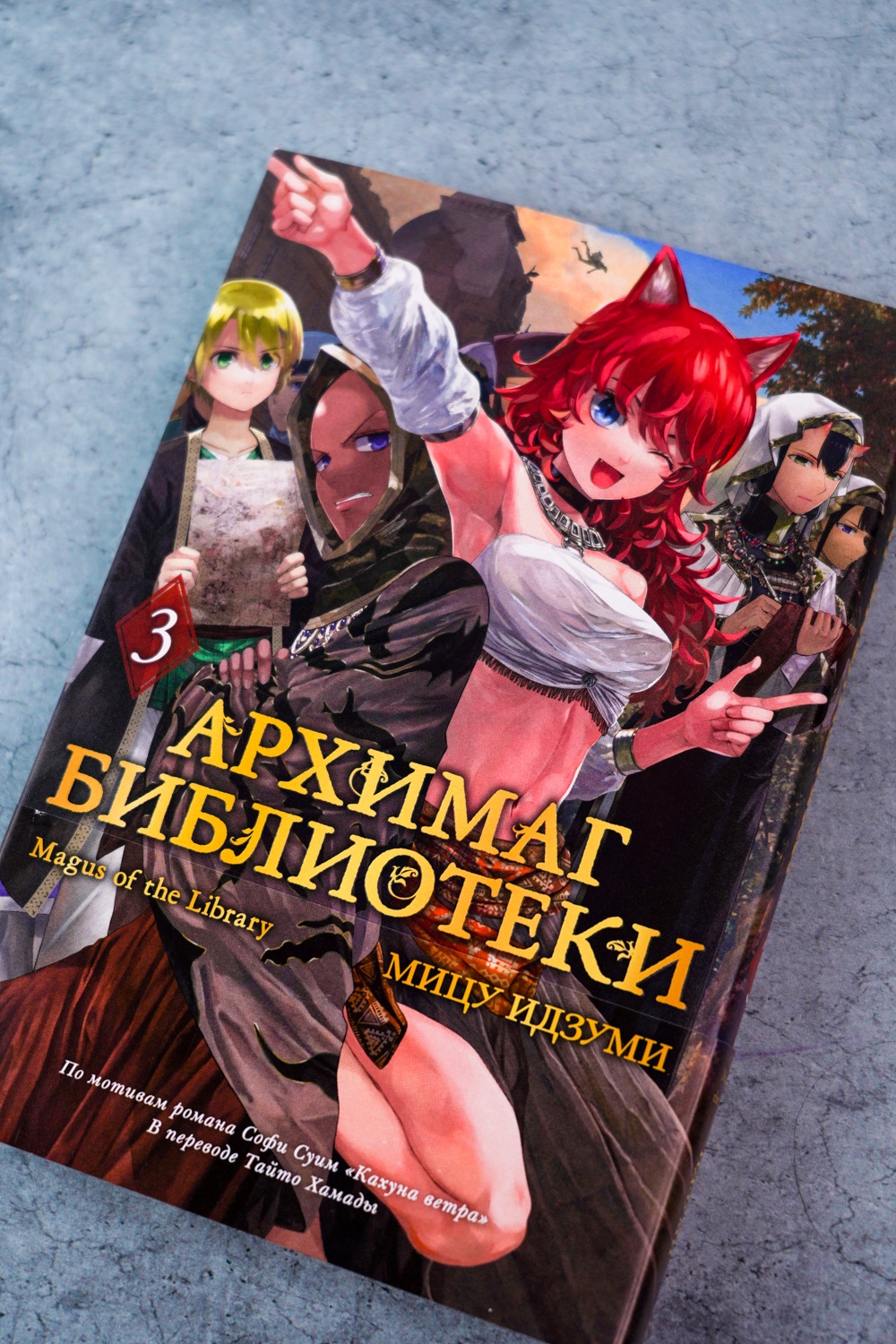 Промо материал к книге "Архимаг библиотеки. Книга 3" №5