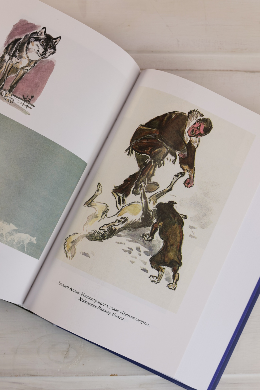 Промо материал к книге "Зов предков. Белый Клык. Сказания о Дальнем Севере" №8