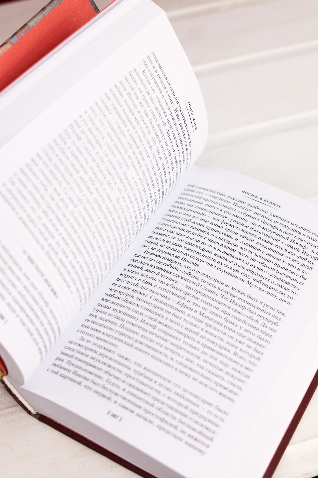 Промо материал к книге "Иосиф и его братья в 2 томах (комплект)" №12