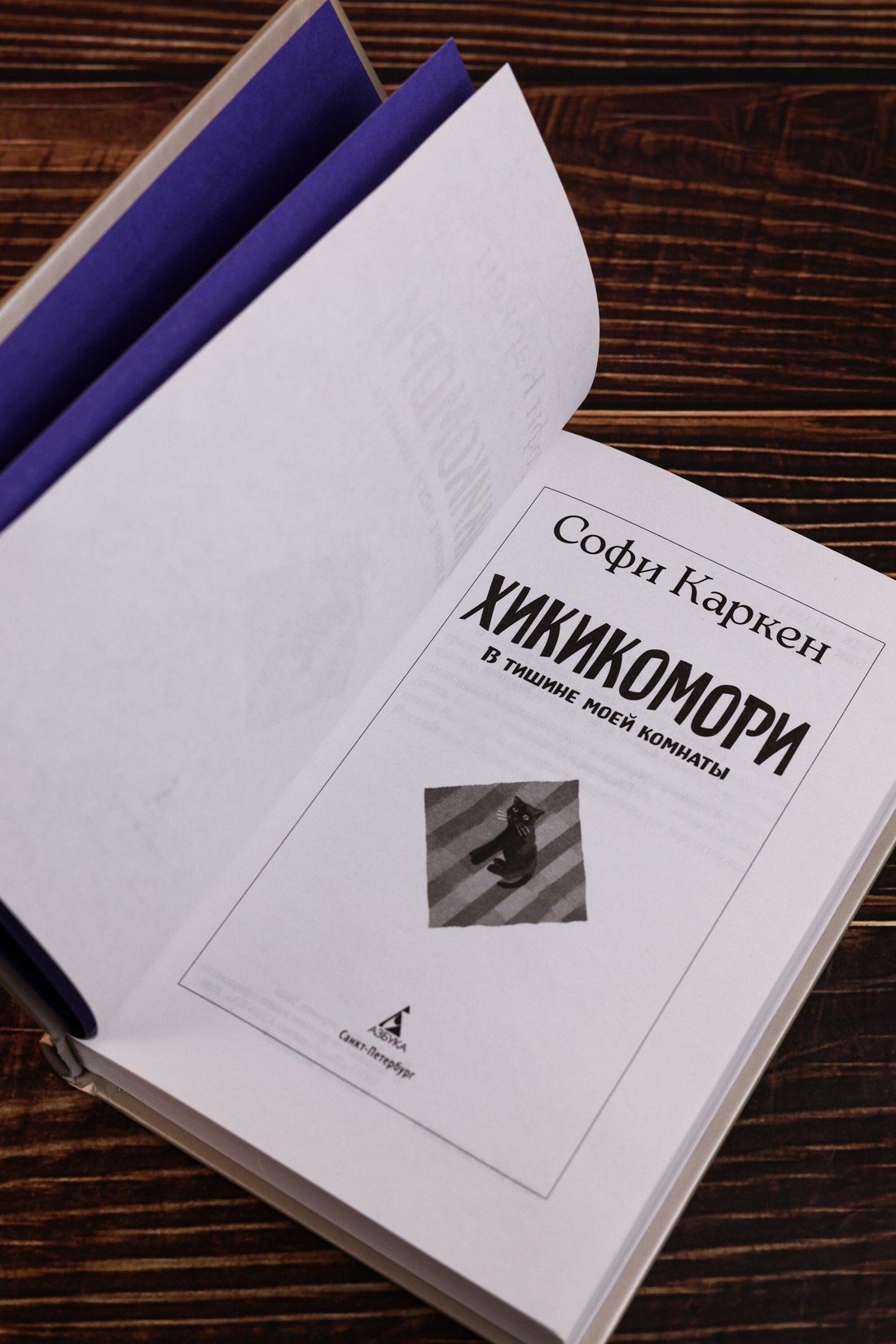 Промо материал к книге "Хикикомори. В тишине моей комнаты" №7