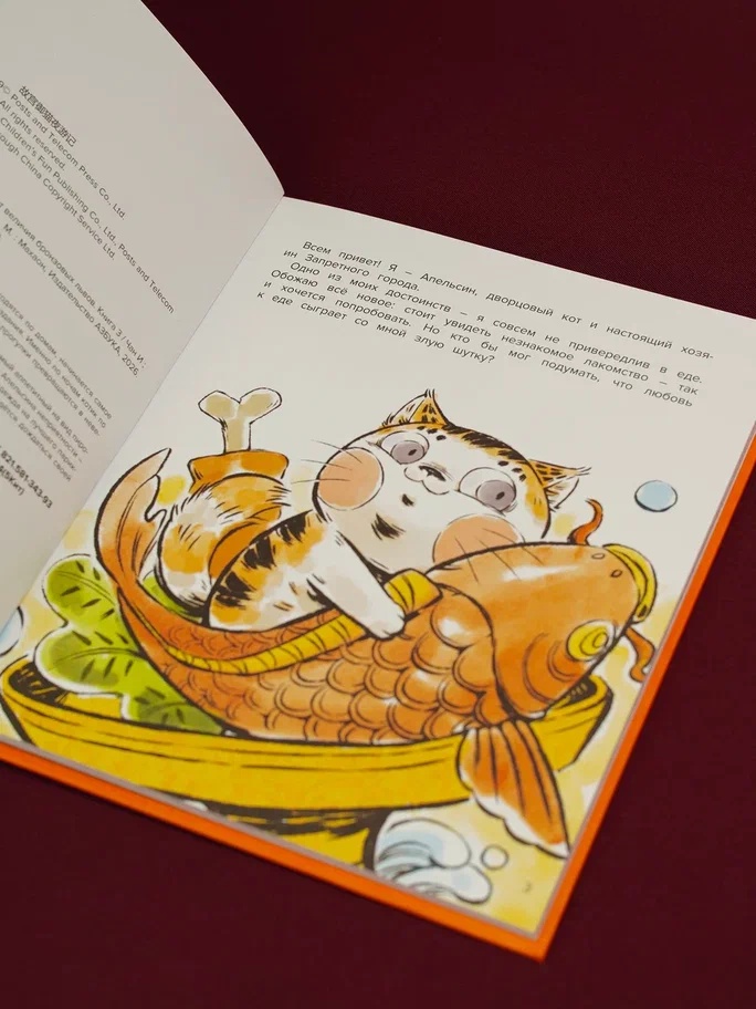 Промо материал к книге "Кот Апельсин в Запретном городе. Книга 3. Секрет величия бронзовых львов" №7