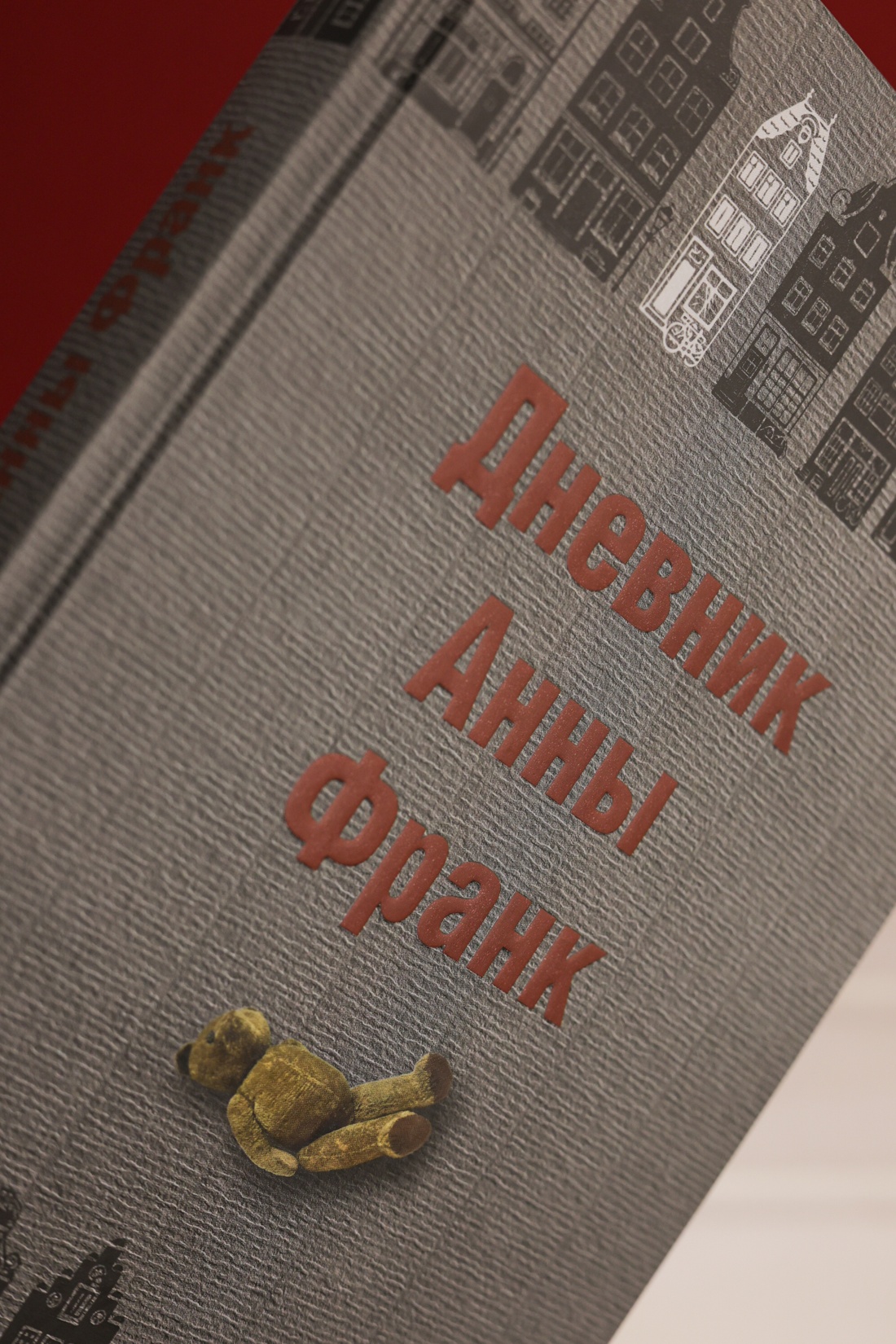 Промо материал к книге "Дневник Анны Франк" №11