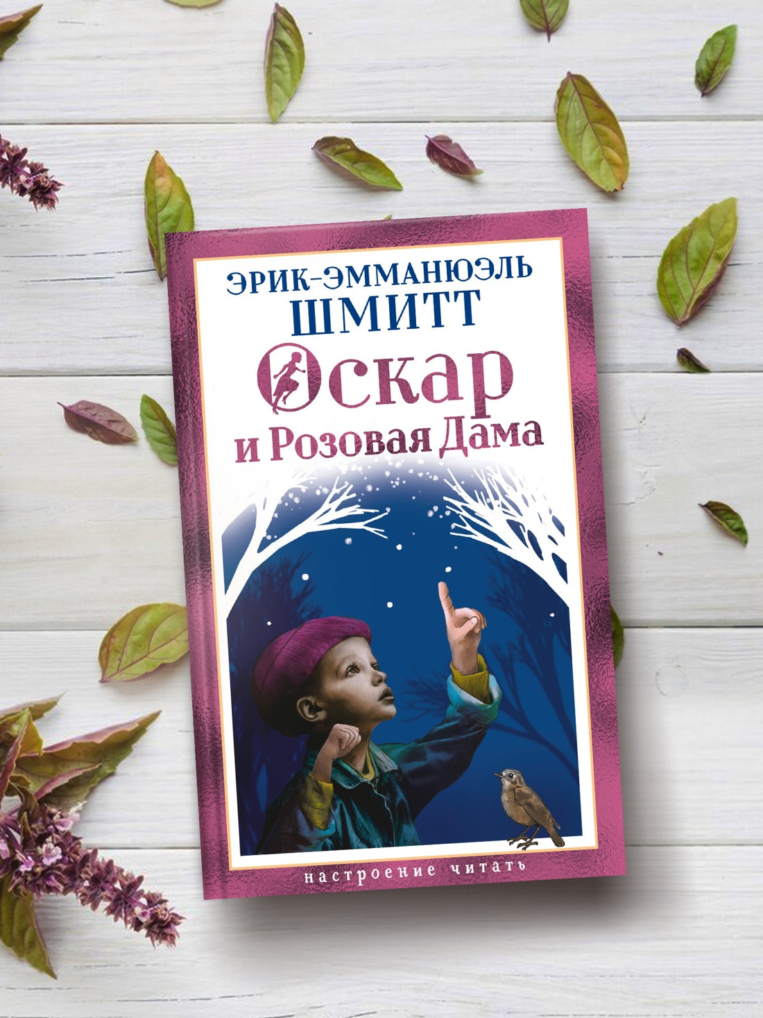 Промо материал к книге "Оскар и Розовая Дама (Настроение читать)" №2