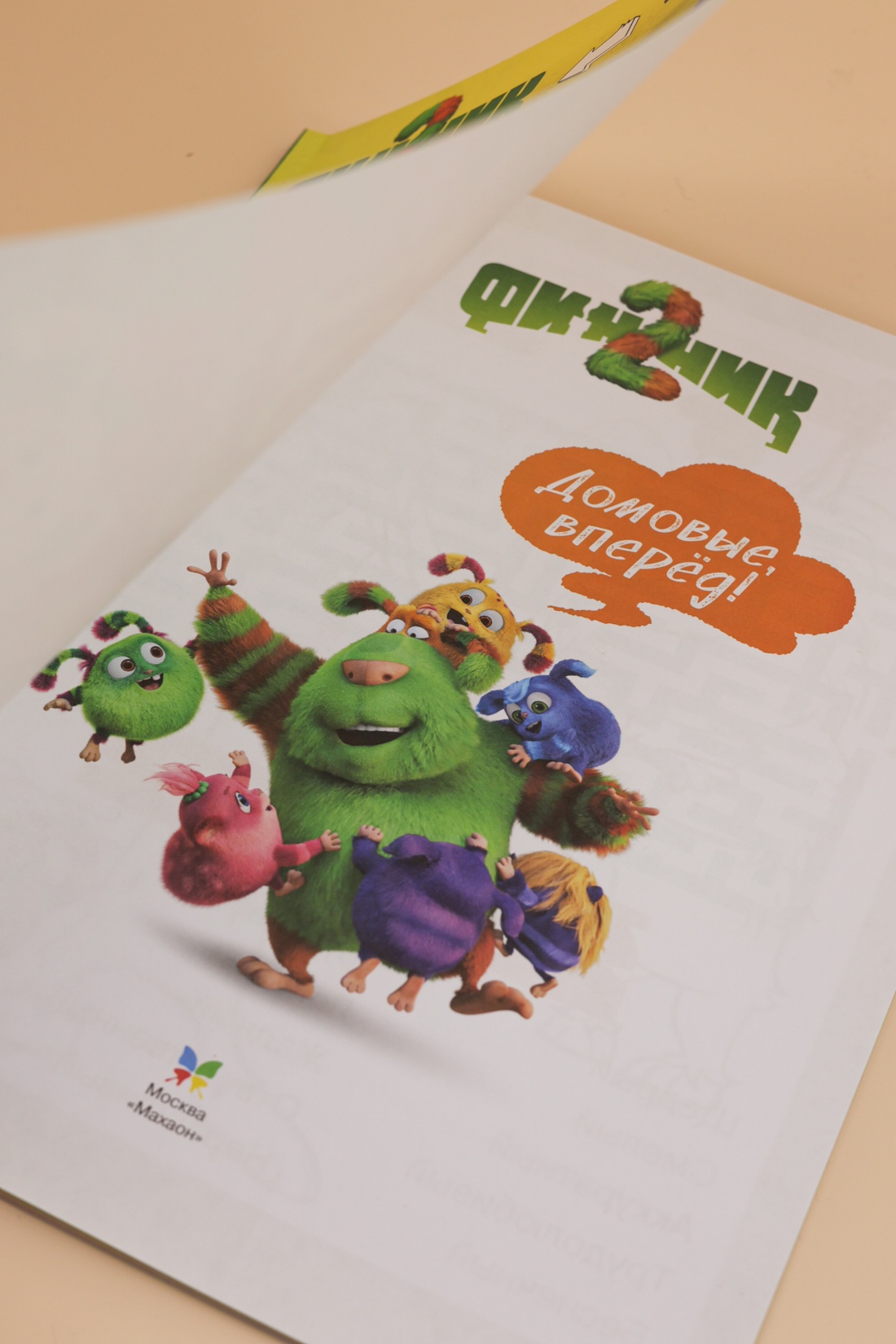 Промо материал к книге "Финник 2. 101 задание. Домовые, вперёд!" №6