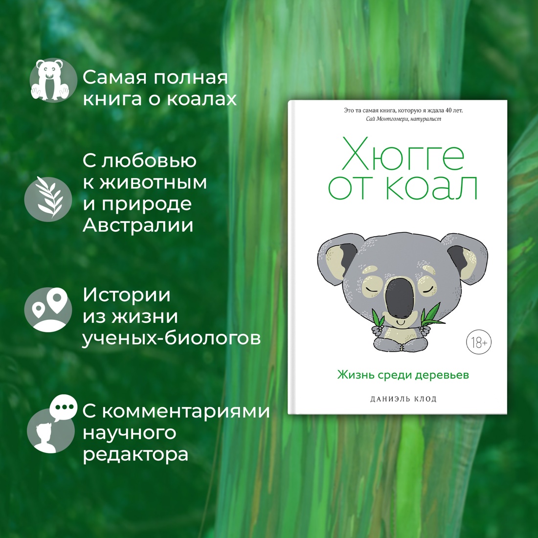 Промо материал к книге "Хюгге от коал. Жизнь среди деревьев" №1