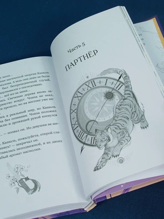 Промо материал к книге "Маги Каона. Академия между мирами" №10