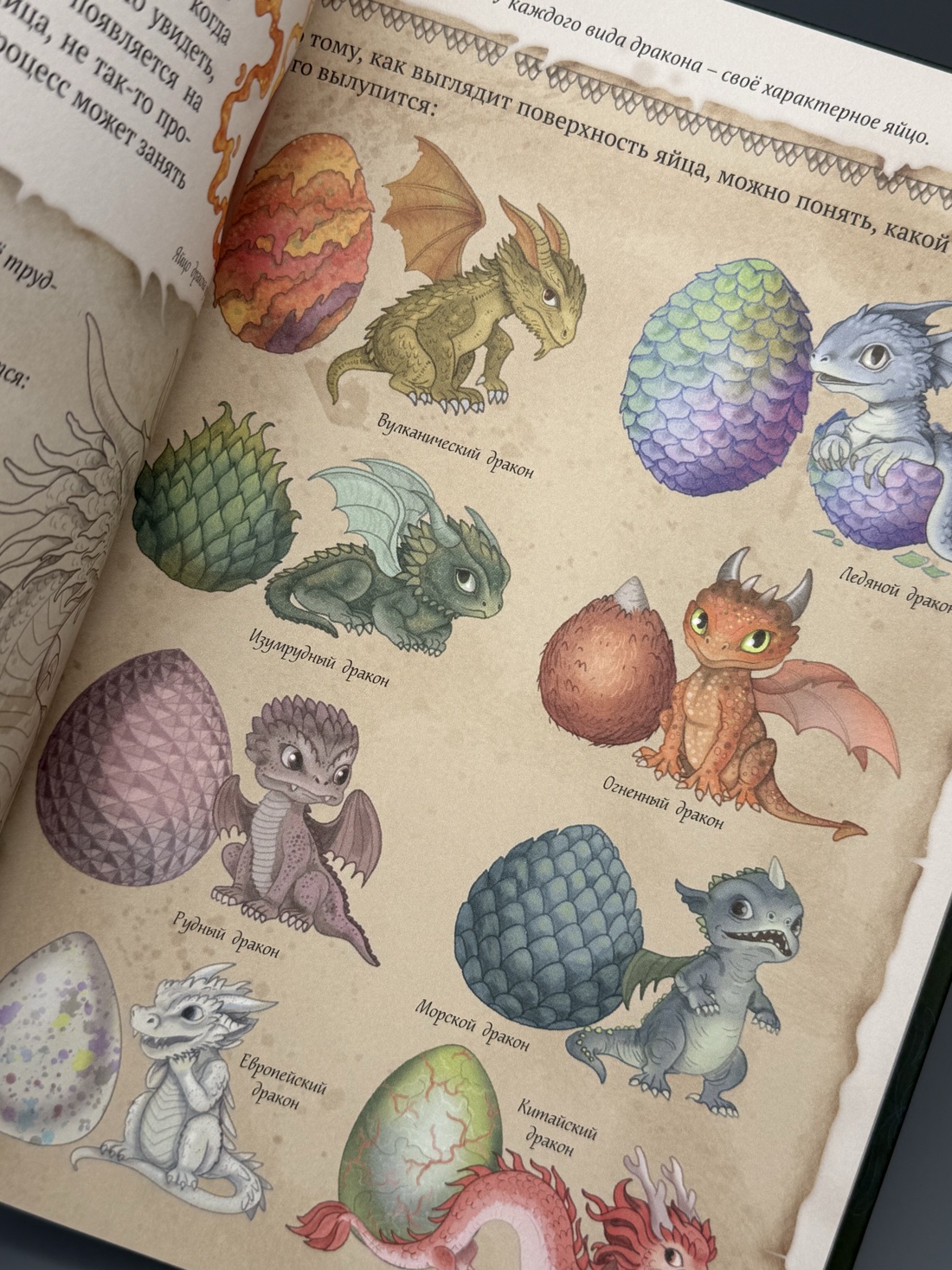 Промо материал к книге "Волшебные существа. Энциклопедия" №11