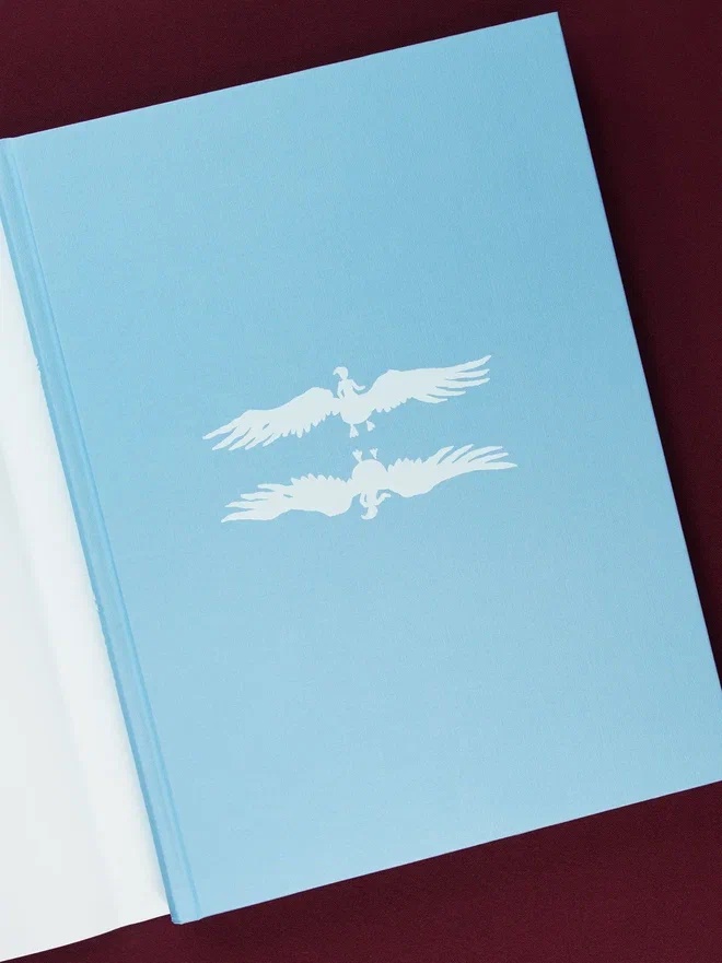Промо материал к книге "Чудесное путешествие Нильса с дикими гусями (илл. Б. Диодорова)" №7