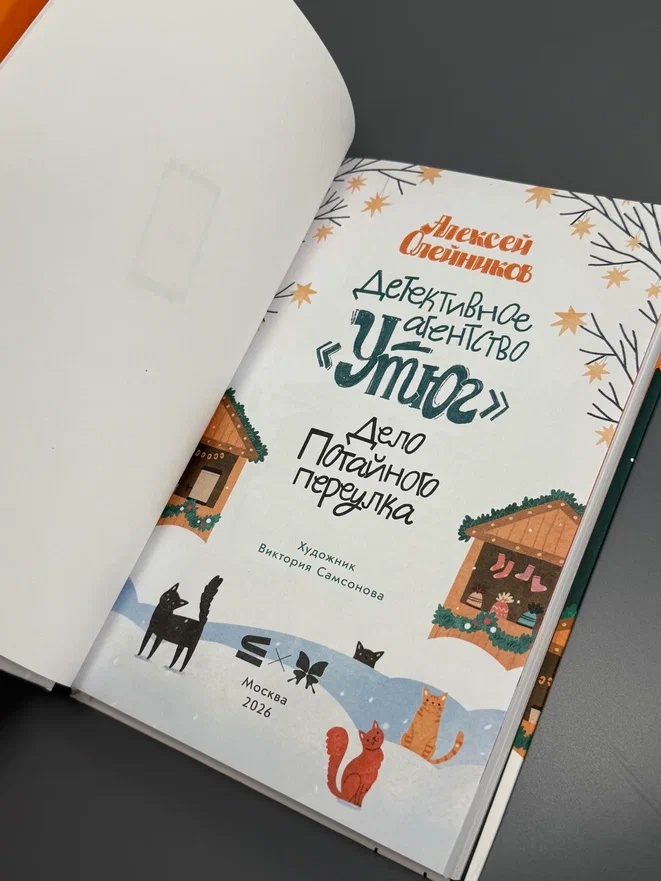 Промо материал к книге "Детективное агентство «Утюг». Дело Потайного переулка" №7