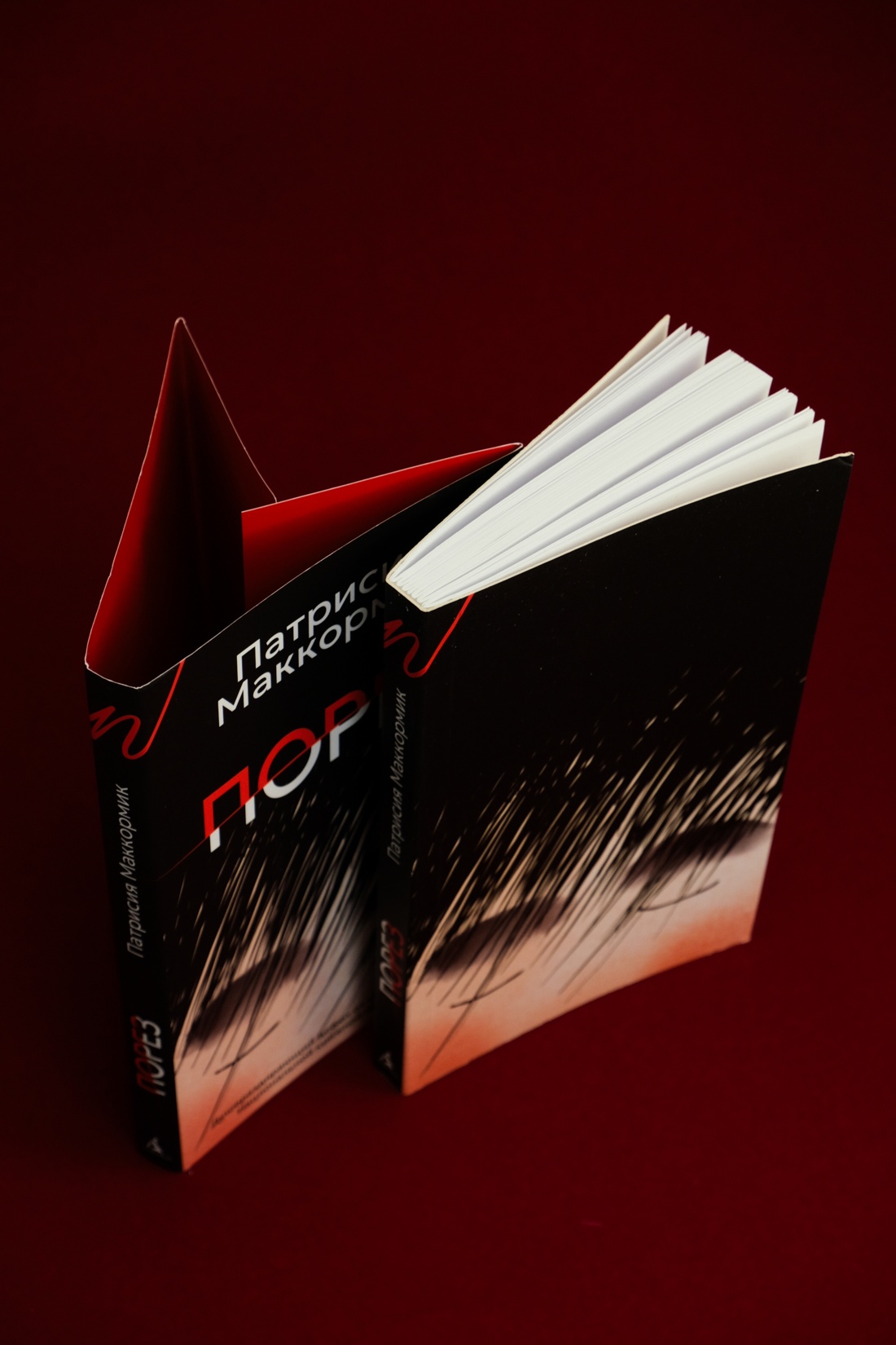 Промо материал к книге "Порез (в суперобложке)" №8
