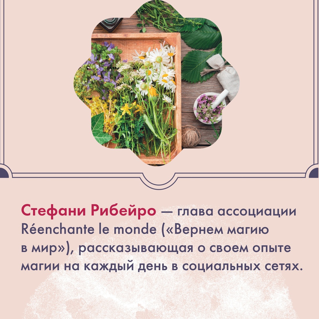 Промо материал к книге "Растения любви (+ эксклюзивный стикерпак) " №5