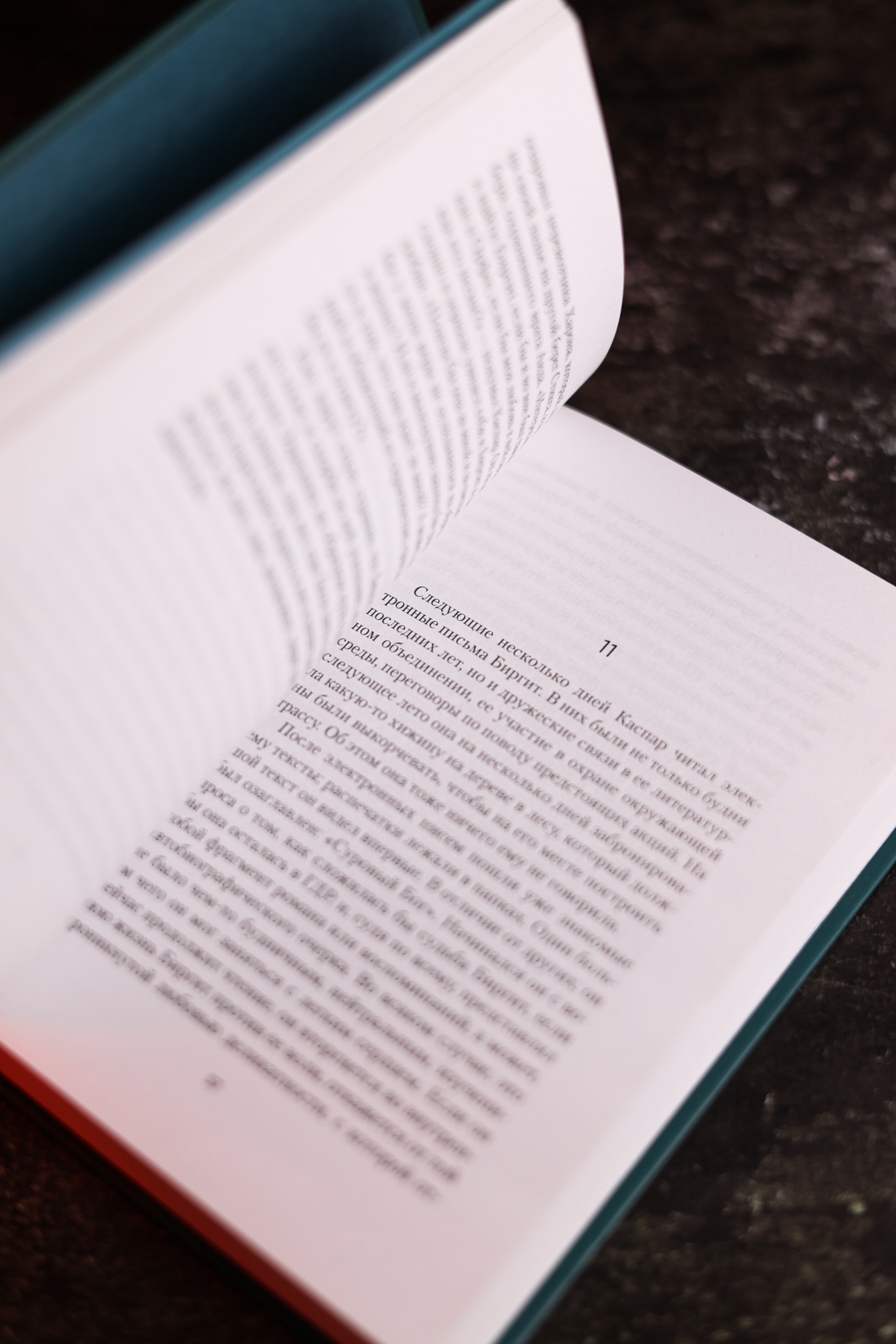Промо материал к книге "Внучка (Настроение читать)" №7