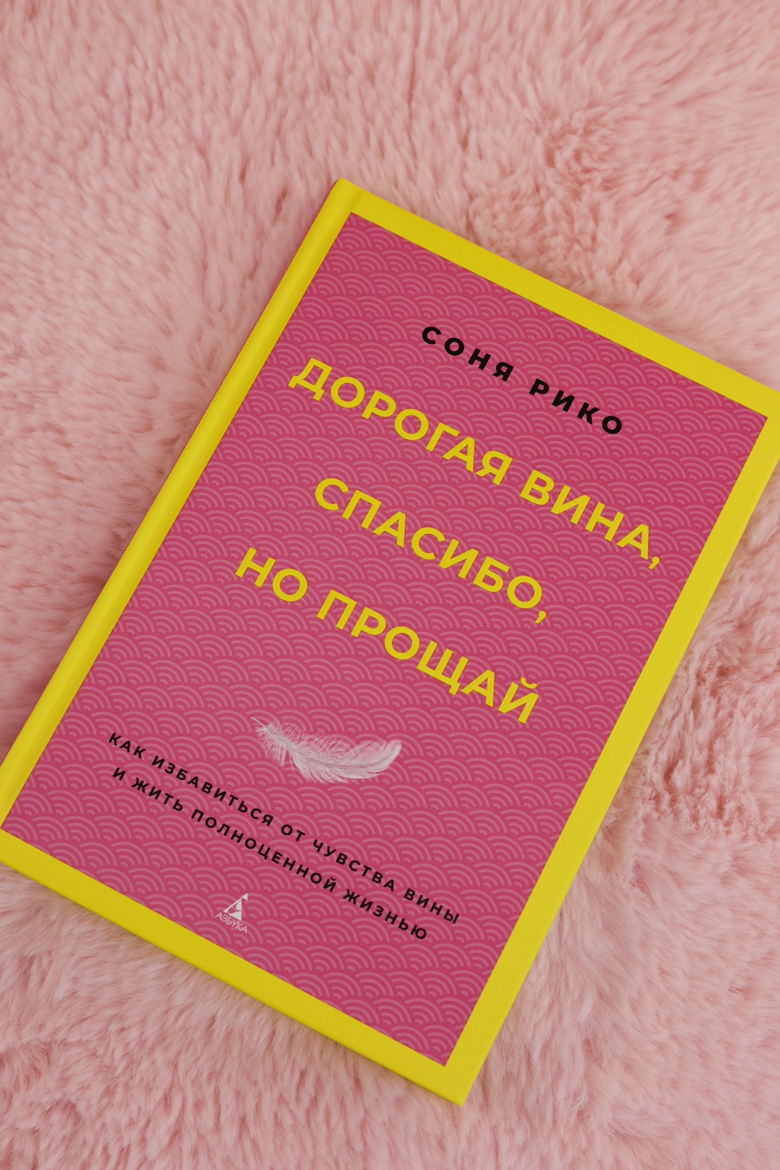 Промо материал к книге "Дорогая вина, спасибо, но прощай: как избавиться от чувства вины и жить полноценной жизнью" №5