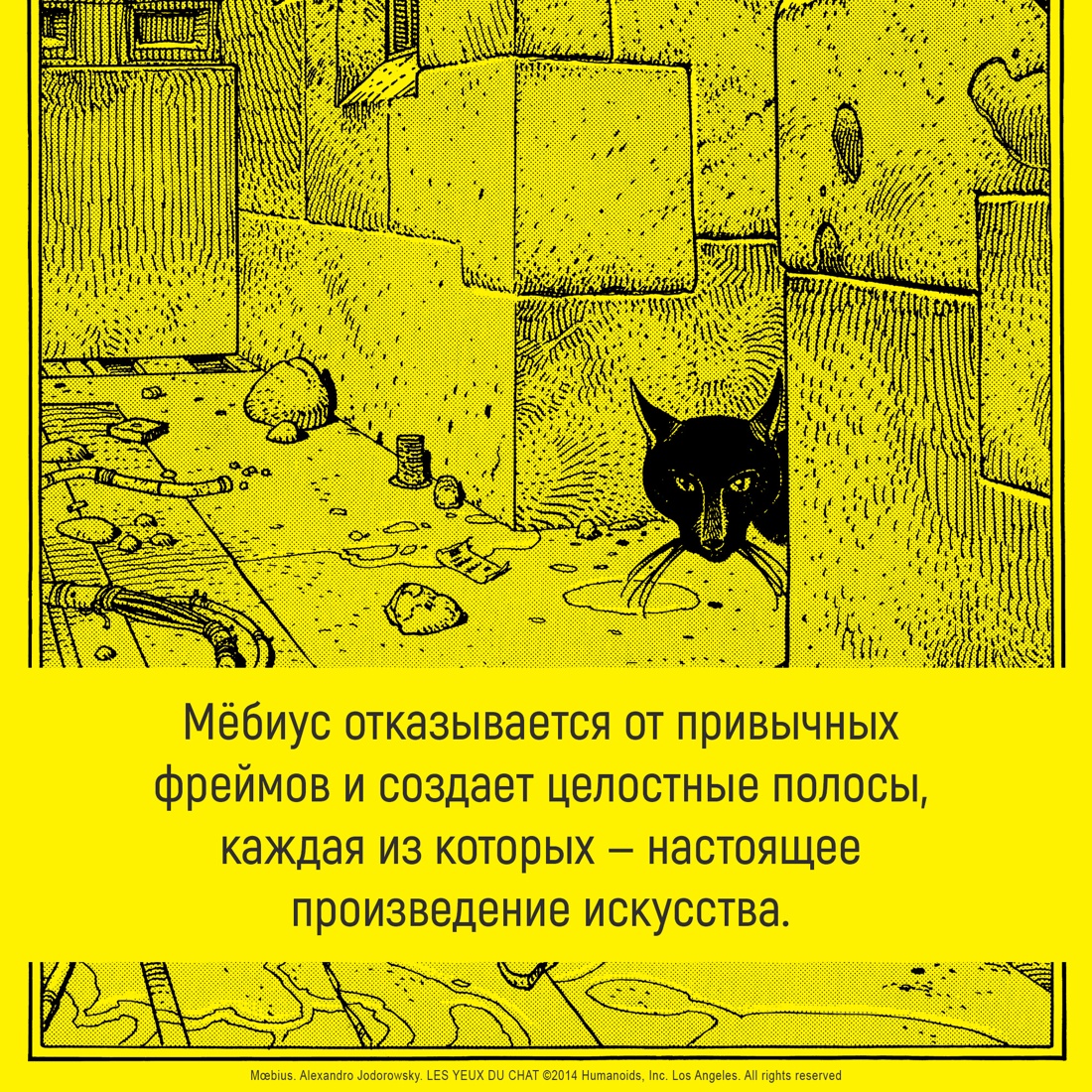 Промо материал к книге "Глаза кошки" №3