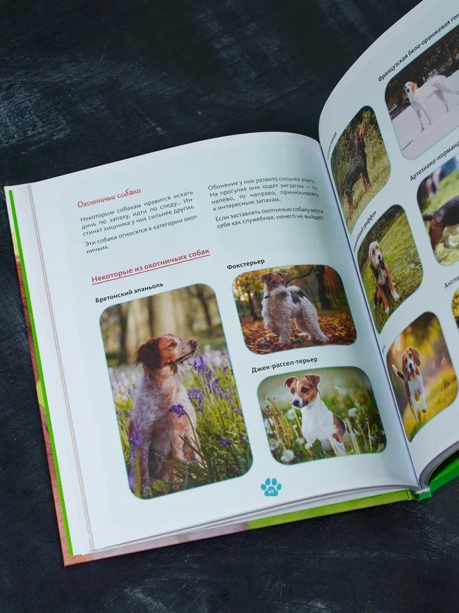 Промо материал к книге "Я и моя собака. Как понять питомца и стать ему другом" №6