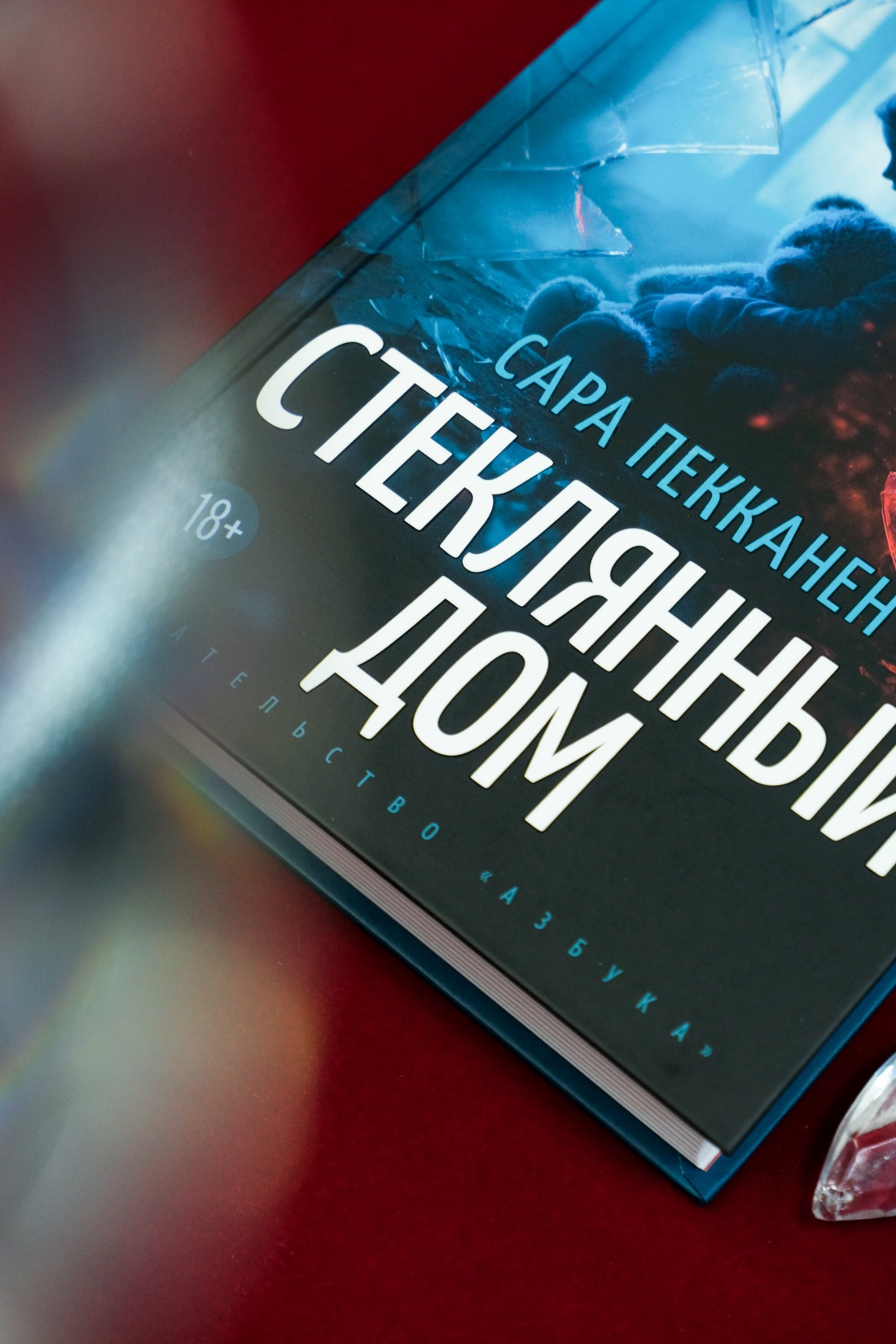 Промо материал к книге "Стеклянный дом" №6