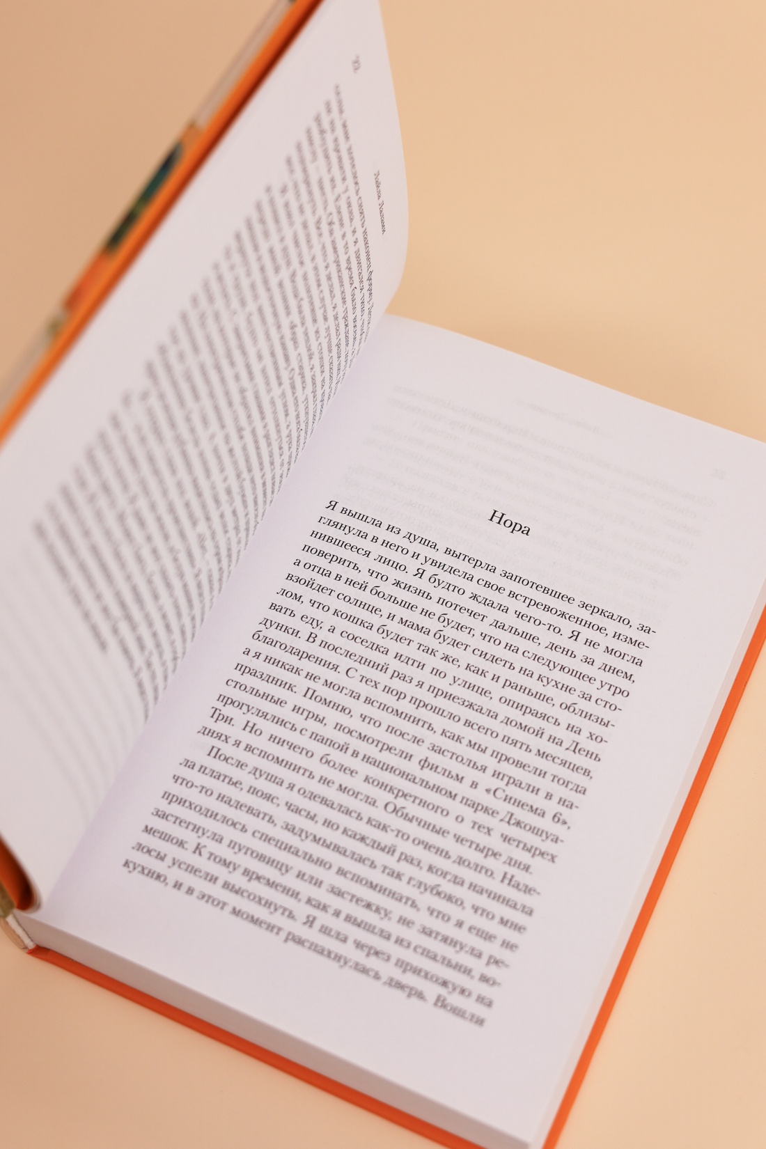 Промо материал к книге "Другие американцы" №9