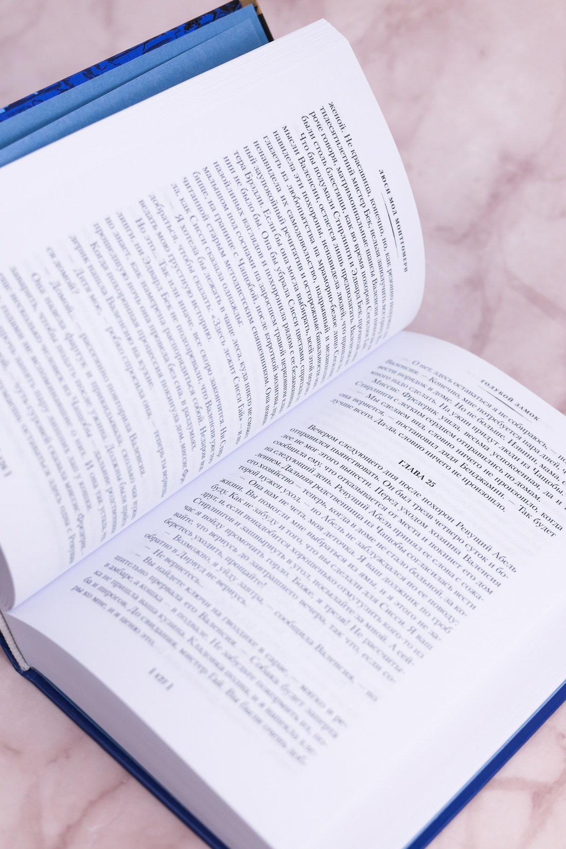Промо материал к книге "Голубой замок (илл)" №7