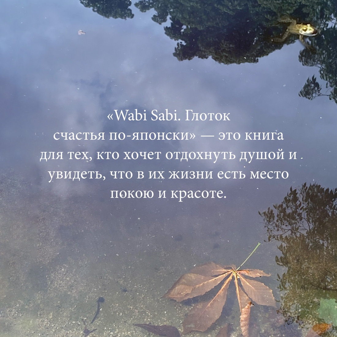 Промо материал к книге "Wabi Sabi. Глоток счастья по-японски" №3