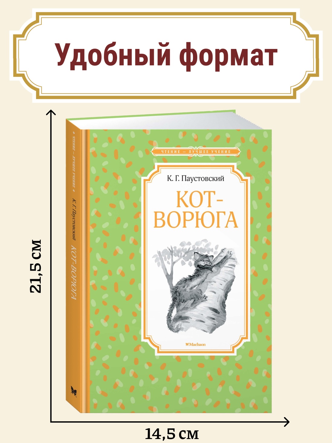 Промо материал к книге "Кот-ворюга. Рассказы и сказки" №0