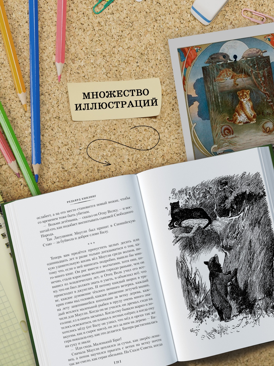 Промо материал к книге "Большая Книга Джунглей" №3
