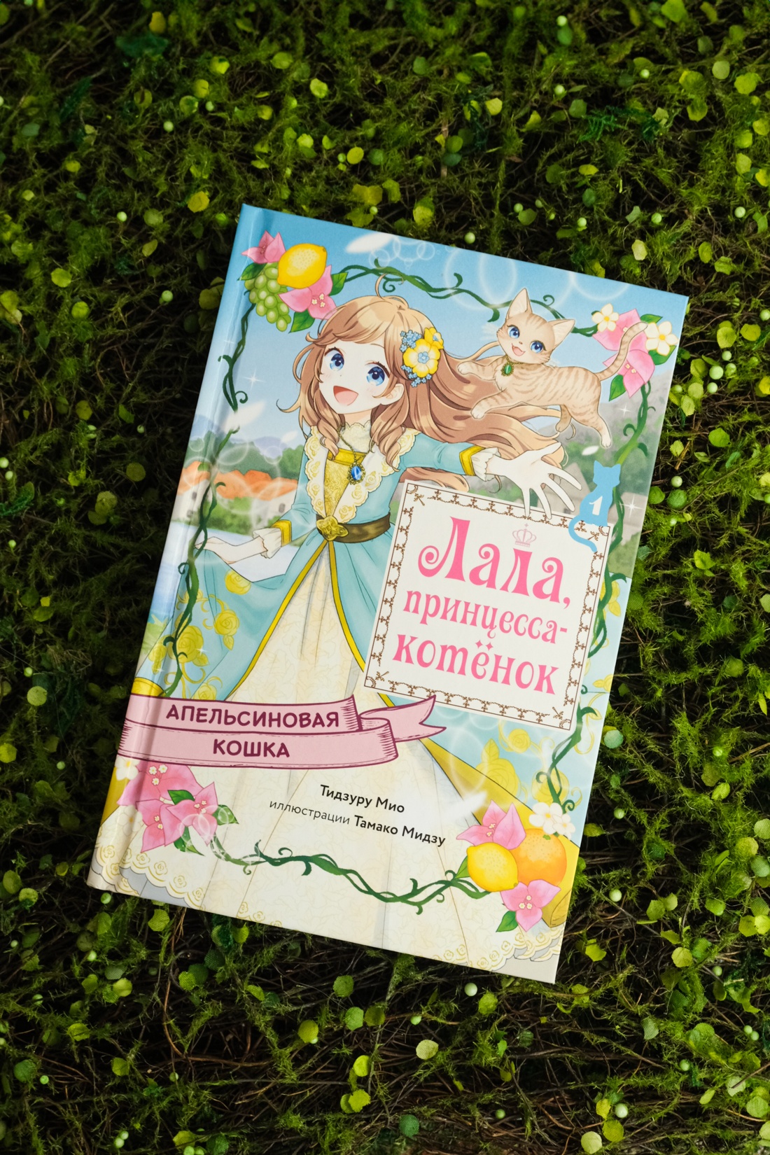 Промо материал к книге "Апельсиновая кошка" №5