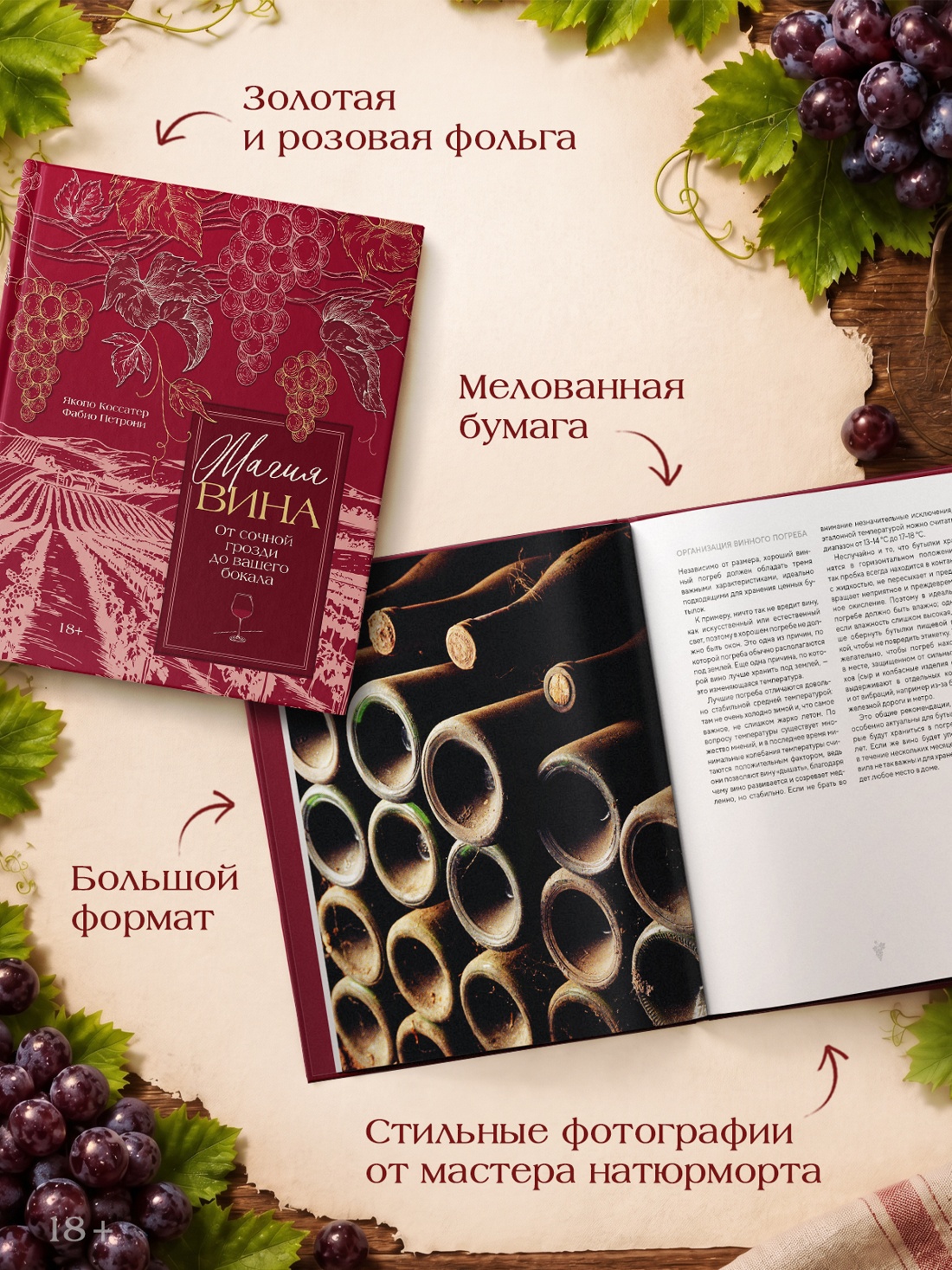 Промо материал к книге "Магия вина. От солнечной грозди до вашего бокала" №2