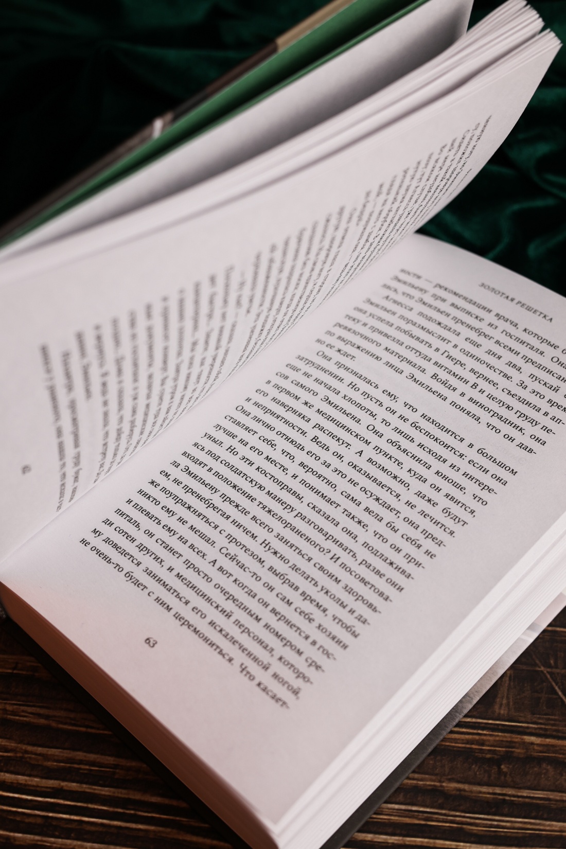 Промо материал к книге "Золотая решетка" №5