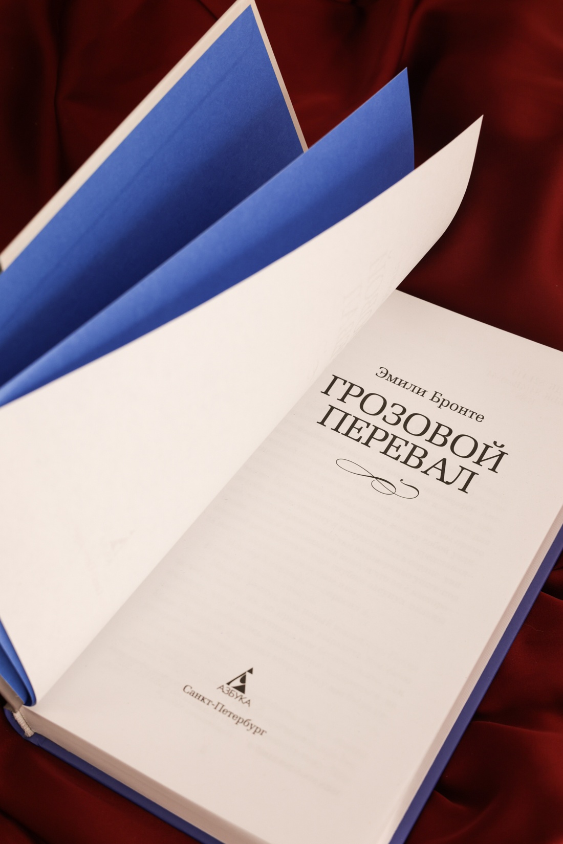 Промо материал к книге "Грозовой перевал (новое оформление; кинообложка)" №8