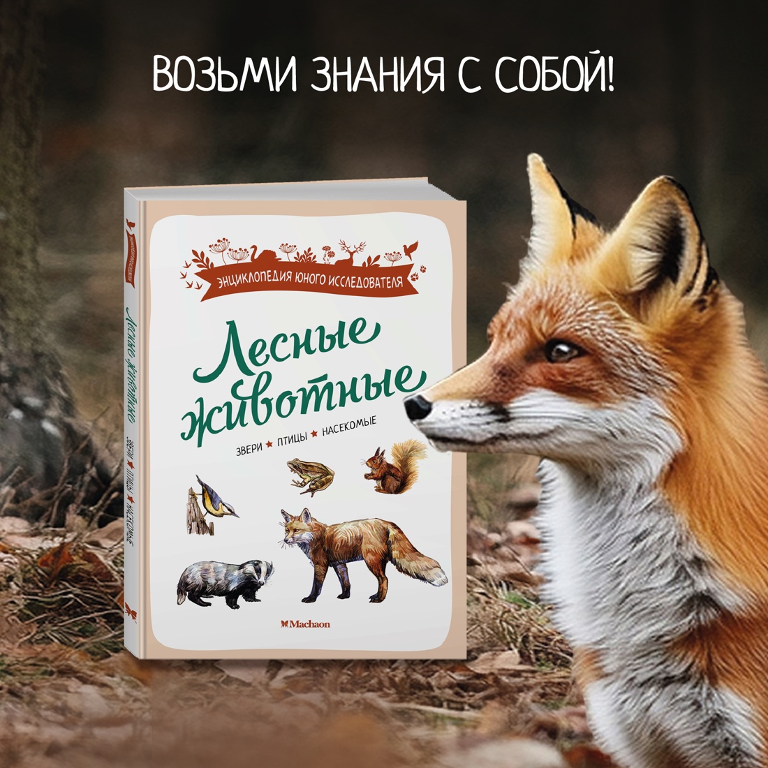 Промо материал к книге "Лесные животные" №0