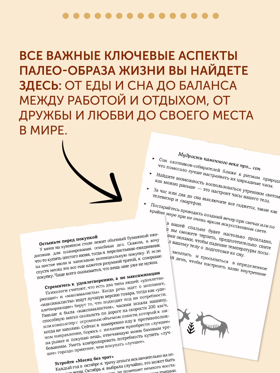 Промо материал к книге "Paleo life. Мудрые привычки счастливого человека" №3