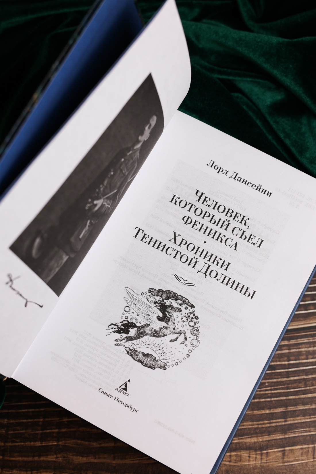 Промо материал к книге "Человек, который съел феникса. Хроники Тенистой Долины" №7