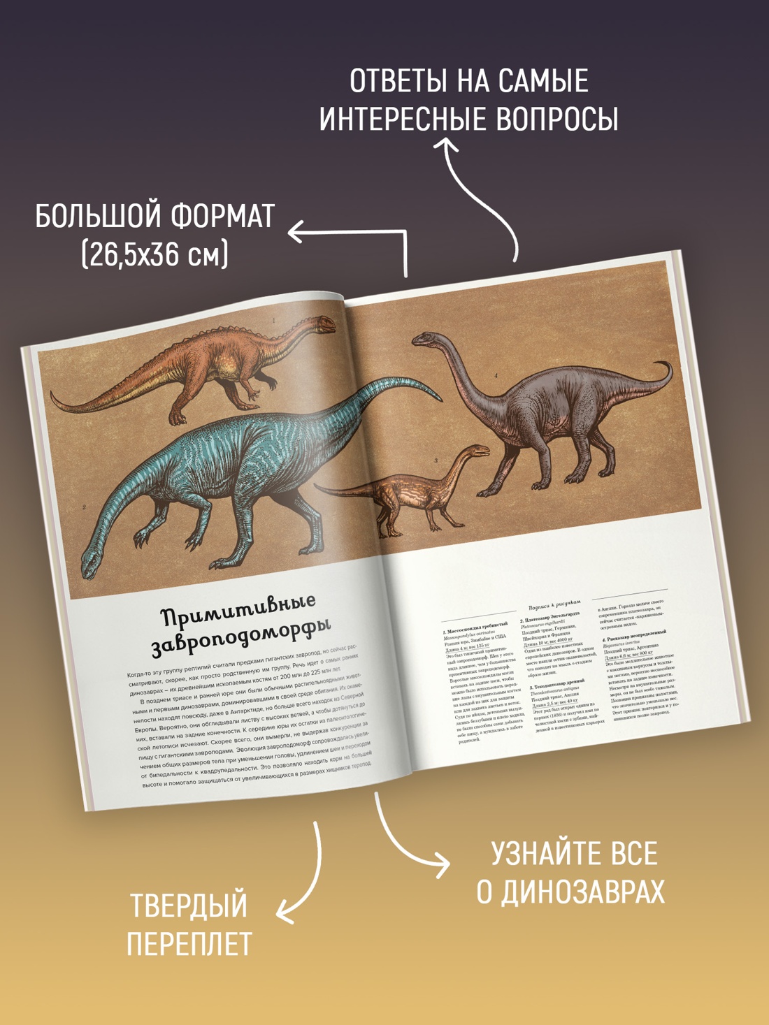 Промо материал к книге "Динозавриум" №1