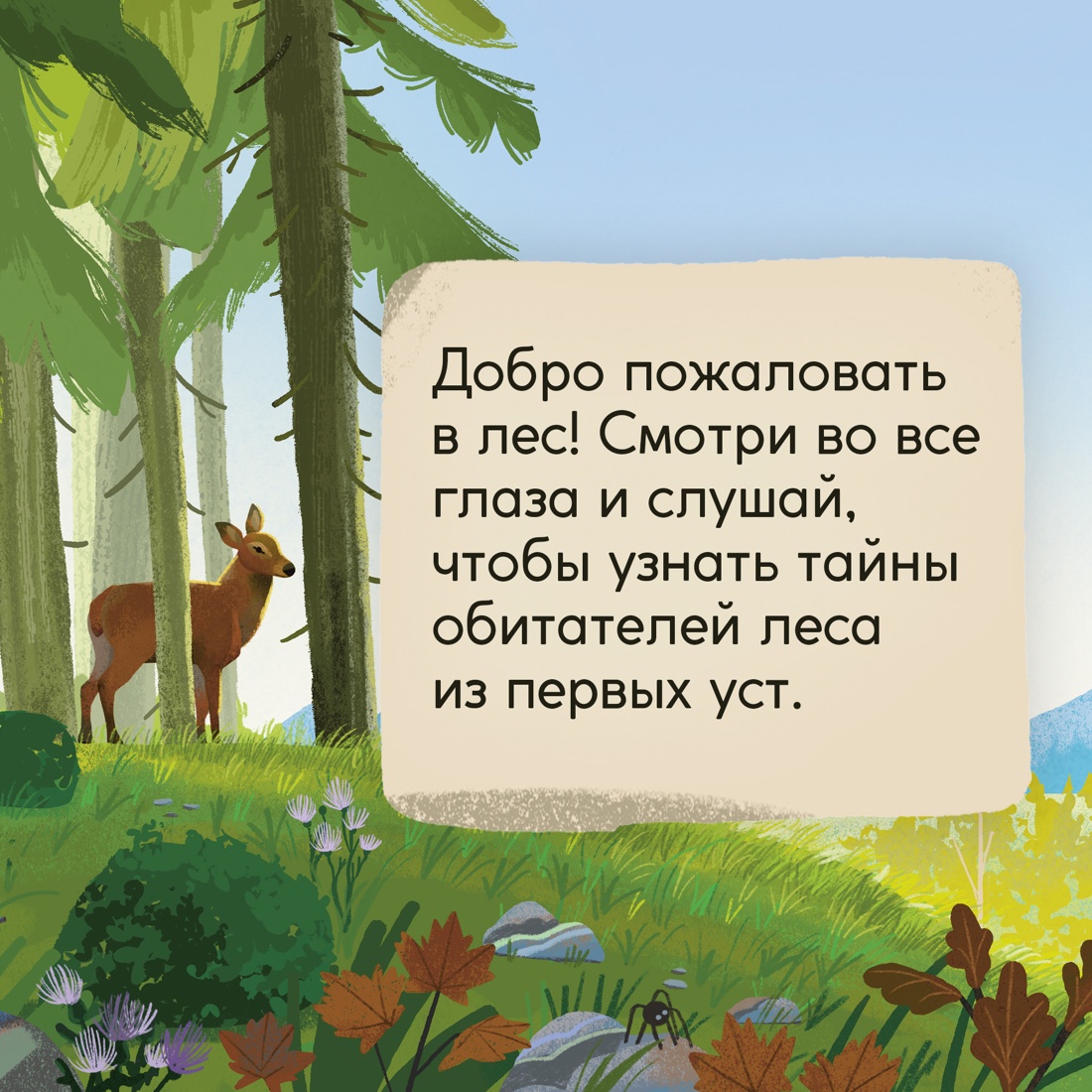 Промо материал к книге "Кто живёт в лесу? Иллюстрированный атлас животных" №3