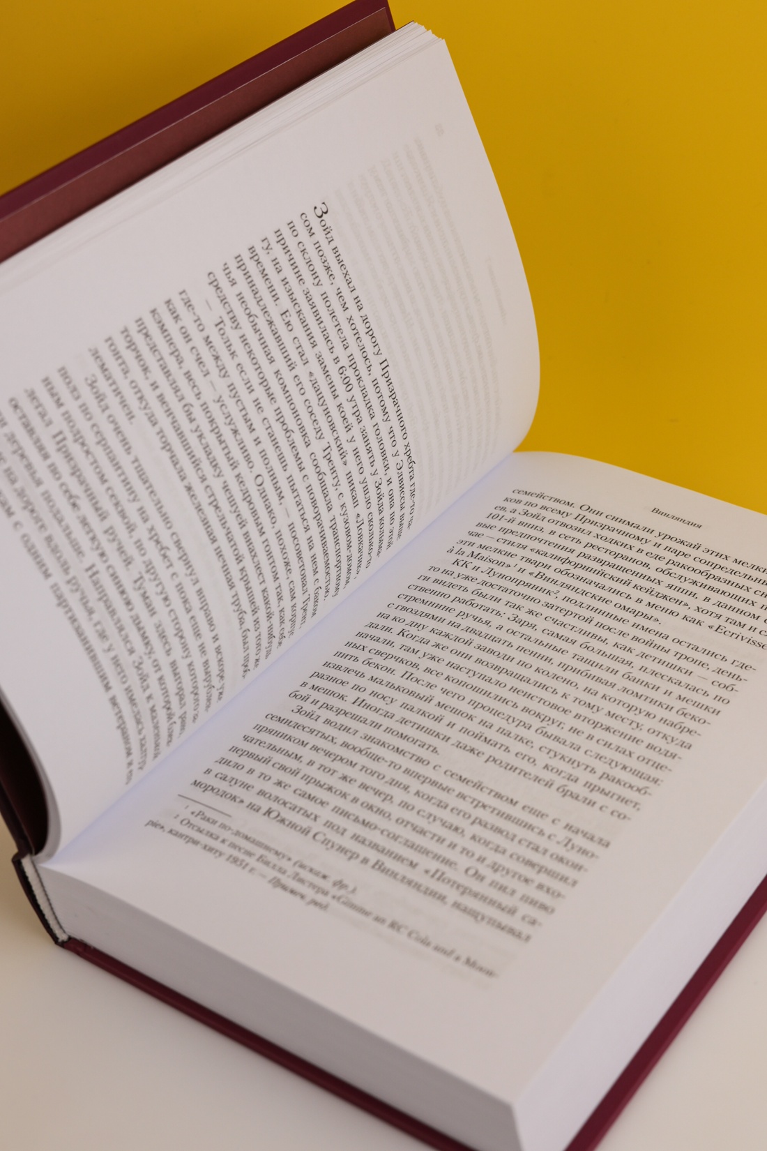 Промо материал к книге "Винляндия" №9