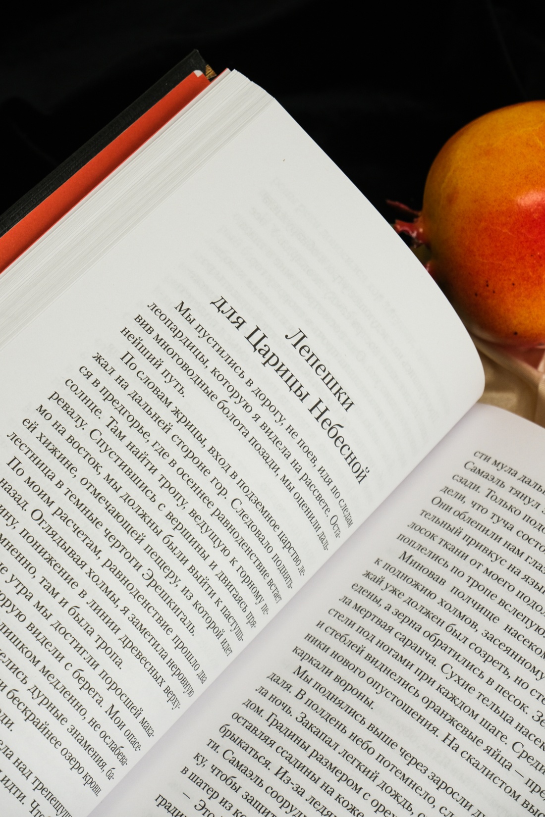 Промо материал к книге "Лилит" №10