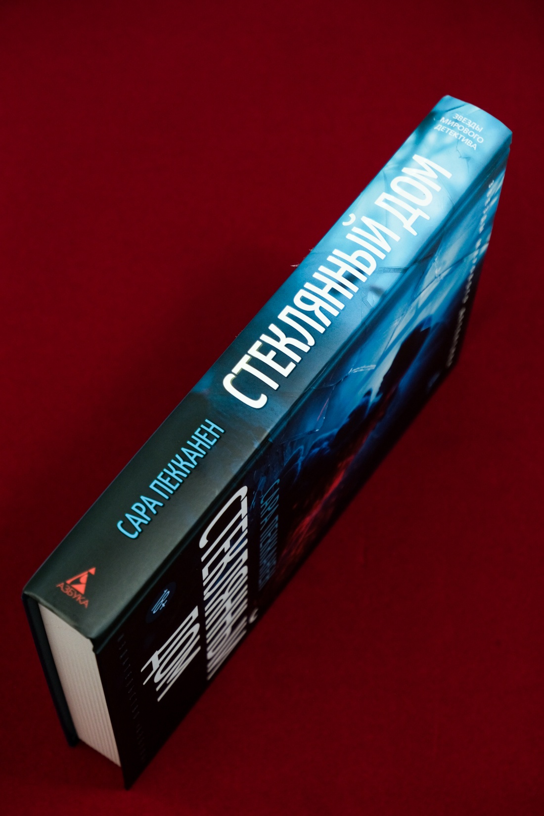 Промо материал к книге "Стеклянный дом" №4