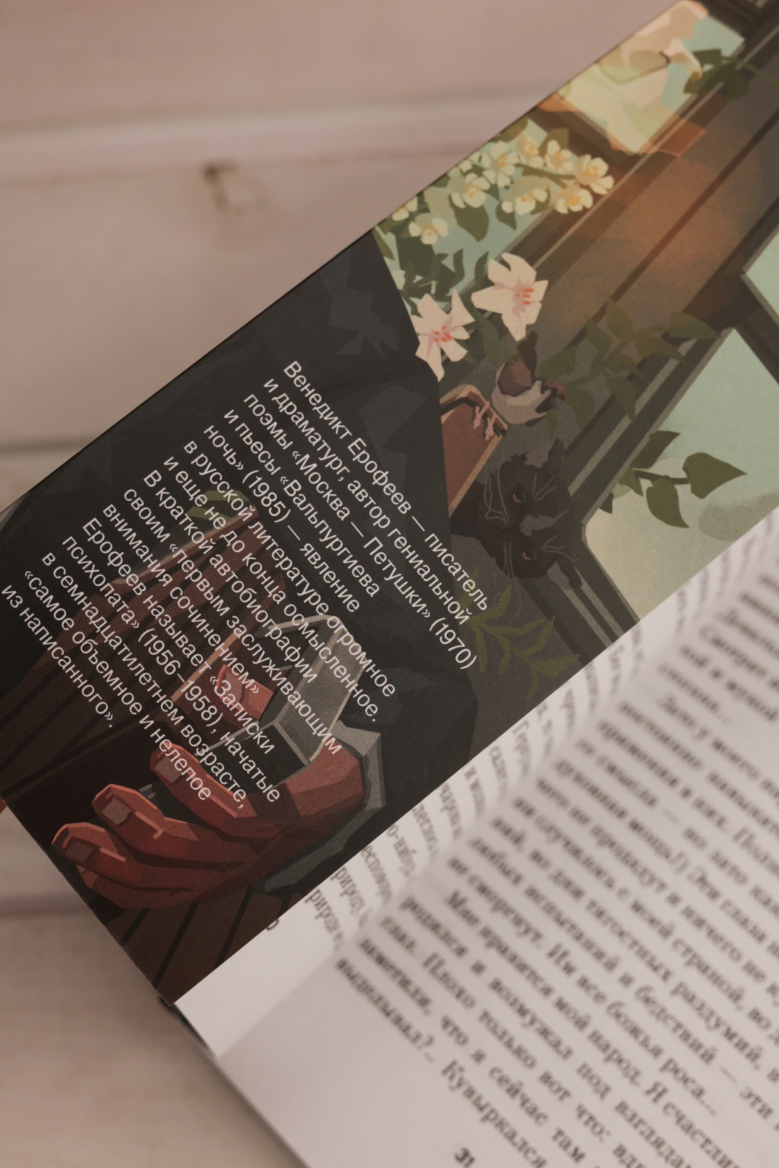 Промо материал к книге "Москва-Петушки" №9