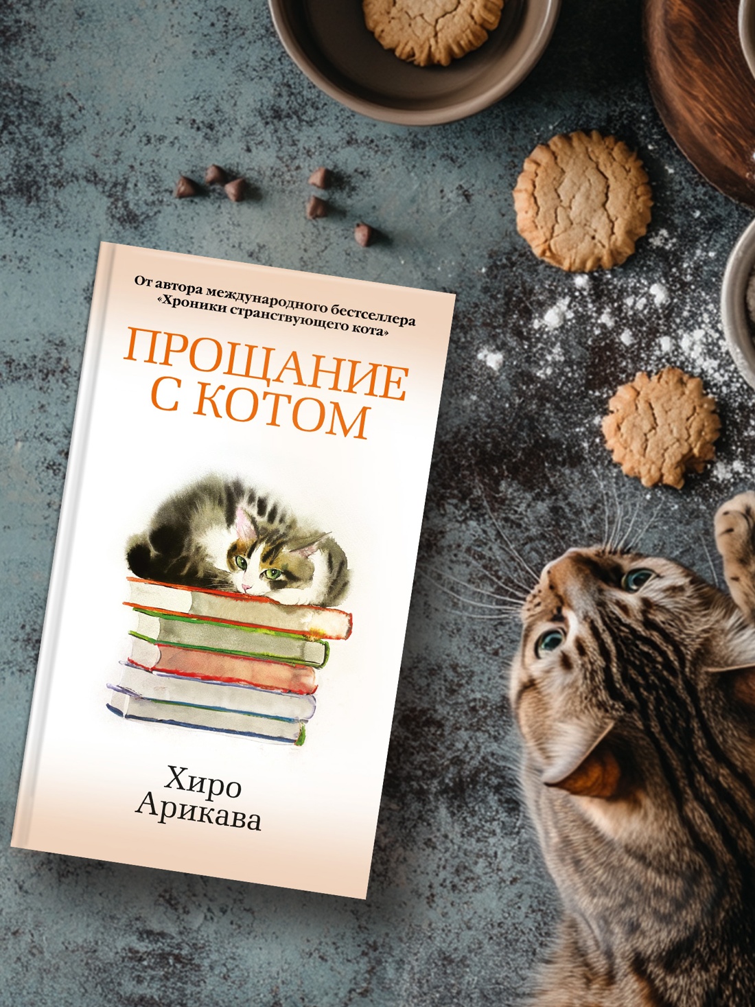 Промо материал к книге "Прощание с котом" №7